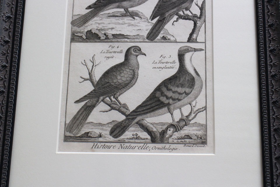 �ե�󥹡�������ɥץ���[������ɴ���ηϿ���ס���Ƽ�ǲ�˥ե졼�ࡡ0815_03