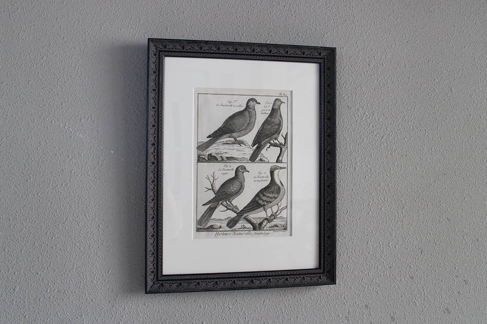 �ե�󥹡�������ɥץ���[������ɴ���ηϿ���ס���Ƽ�ǲ�˥ե졼�ࡡ0815_03