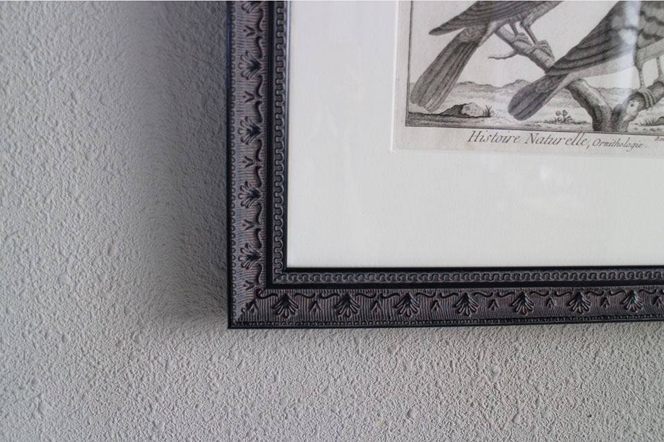 �ե�󥹡�������ɥץ���[������ɴ���ηϿ���ס���Ƽ�ǲ�˥ե졼�ࡡ0815_03