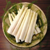 会津産 生鮮ホワイトアスパラガス 3Lサイズ 500g