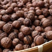 会津産 令和6年産 鬼くるみ殻付き5kg