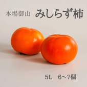 本場御山 みしらず柿 5Lサイズ 6～7個入