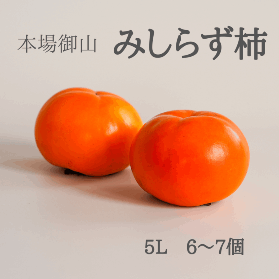本場御山　みしらず柿　5Lサイズ　6～7個入り