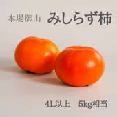 本場御山　みしらず柿　4L以上　5kg相当（13～15個）