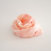 川俣シルクストール(大)