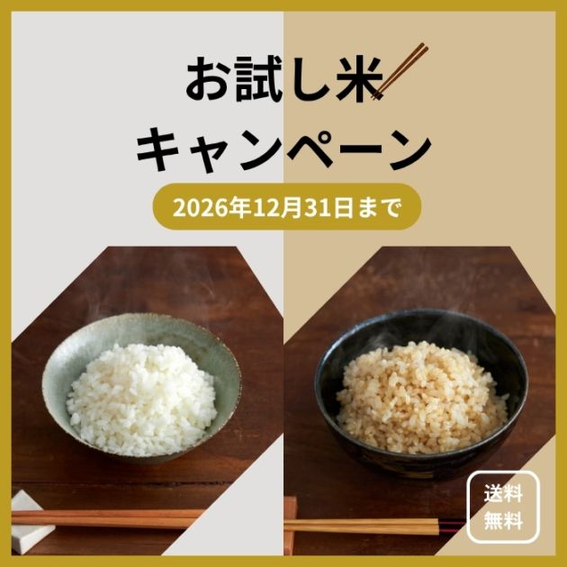 米でいいの田゛2合お試し　令和8年産