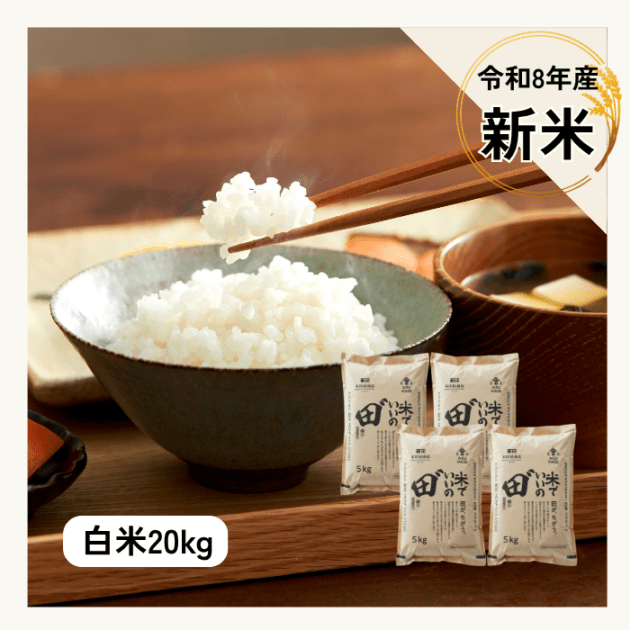 令和8年産 米でいいの田゛白米 20kg