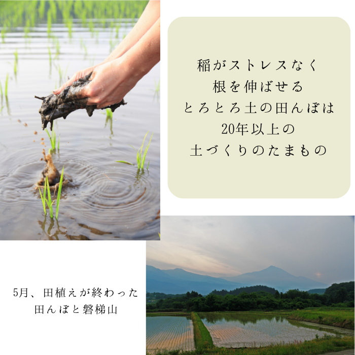 【定期購入】令和5年産 米でいいの田゛ 玄米900g（450g×2）