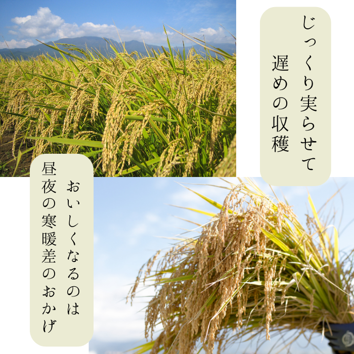 【定期購入】令和5年産 米でいいの田゛ 玄米900g（450g×2）