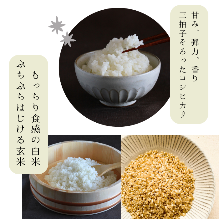 【定期購入】令和6年産 米でいいの田゛ 玄米900g（450g×2）