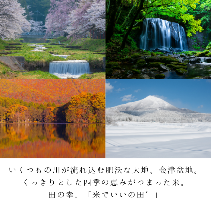 【定期購入】令和6年産  米でいいの田゛ 白米300g×5個セット コシヒカリ