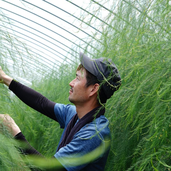 田中のあすぱらがす 会津産 1kg