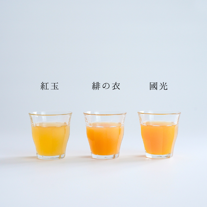 復古（レトロ）三兄弟リンゴジュース3本セット（100％ストレート）