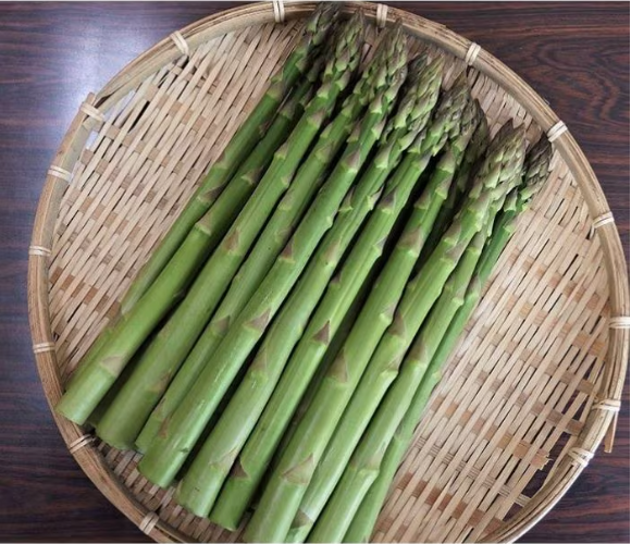 グリーンアスパラガス L
