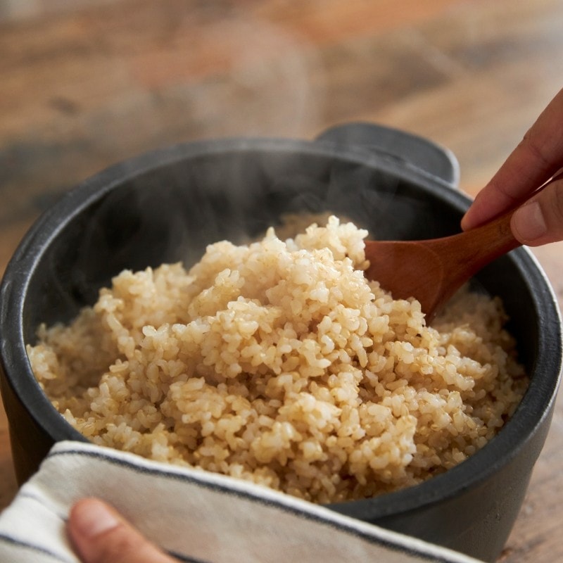 令和8年産 米でいいの田゛ 玄米 無農薬 20kg
