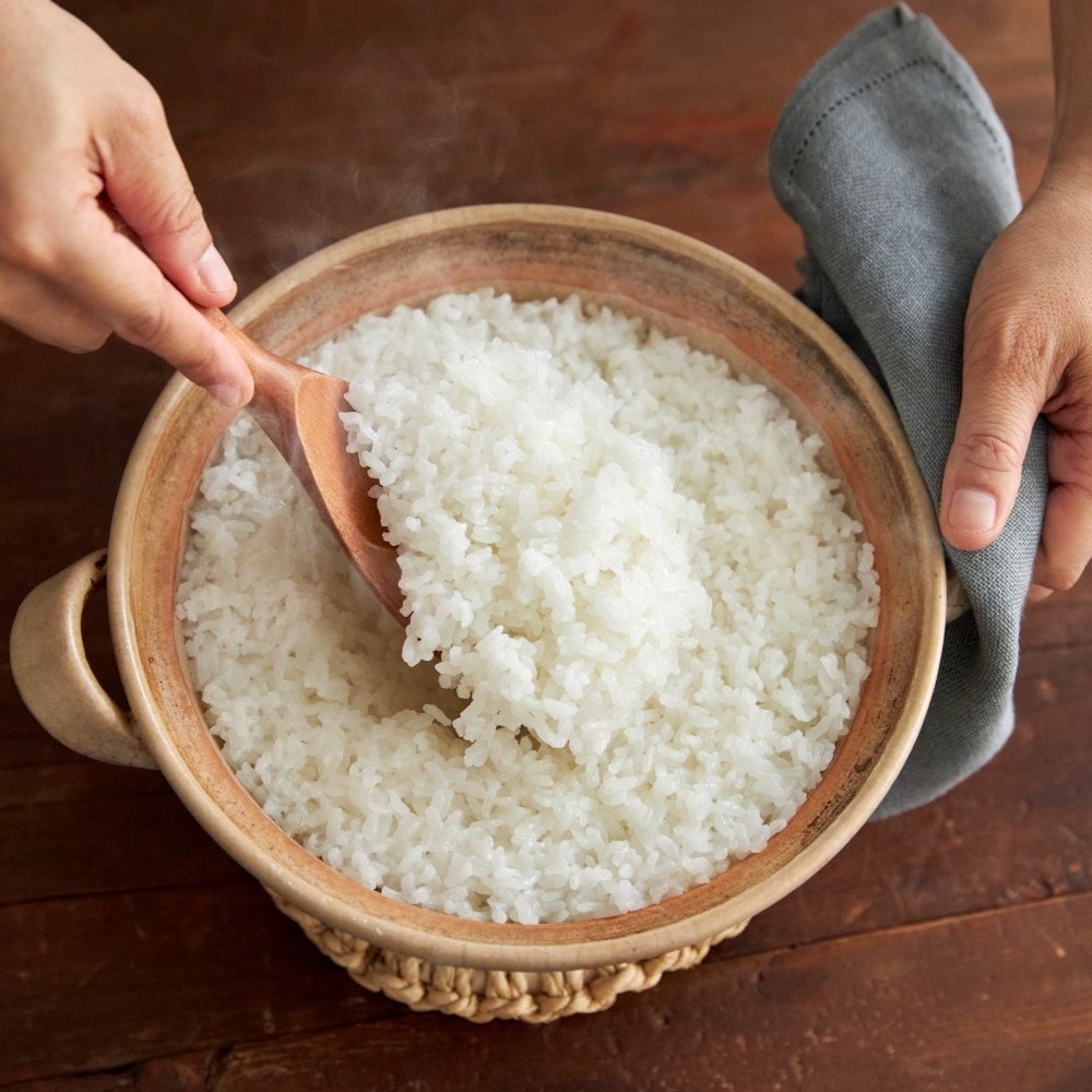 令和8年産 米でいいの田゛ 白米 無農薬 20kg