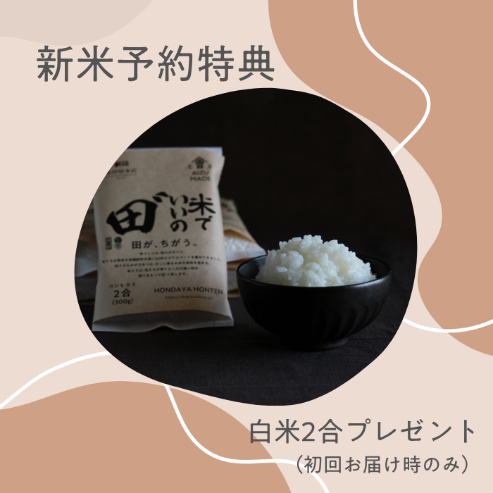 令和8年産 米でいいの田゛ 白米 無農薬 20kg