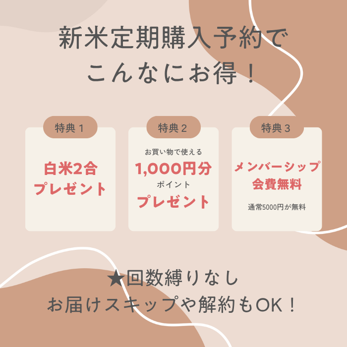 令和8年産 米でいいの田゛玄米 無農薬 900g