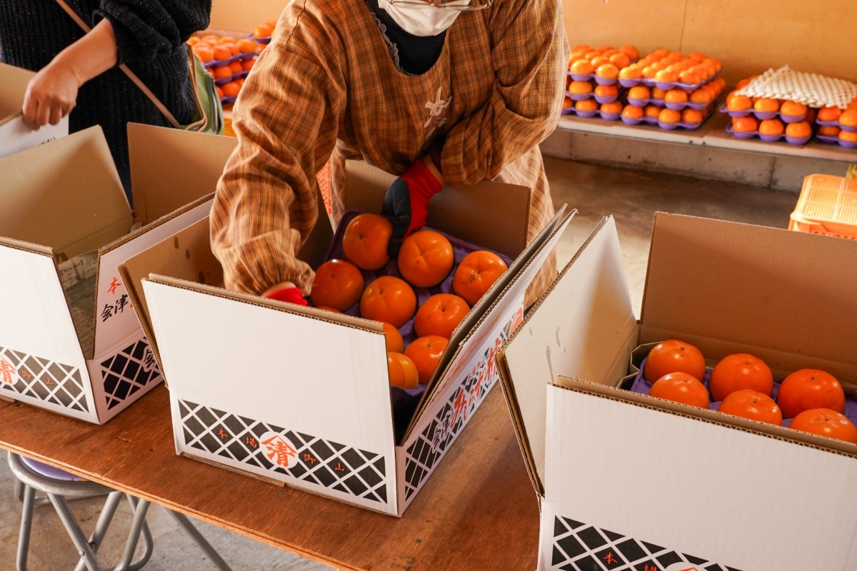 本場御山 みしらず柿 5Lサイズ 6～7個入