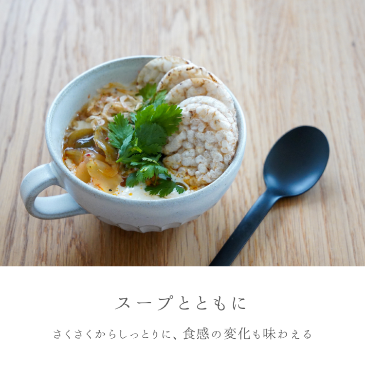 EVERYONEポンせん10g能登