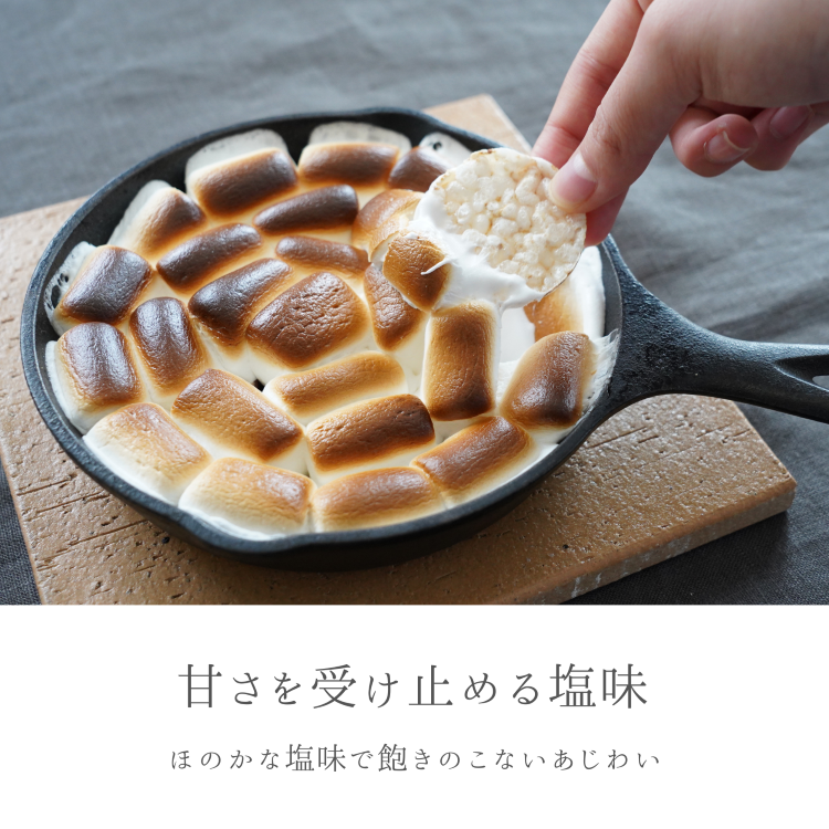 EVERYONEポンせん10g能登