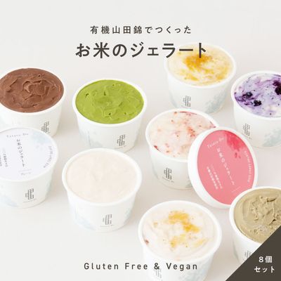 100%植物生まれ「お米のジェラート」（8個セット［フレーバー4種×2個］）［グルテンフリー ＆ プラントベース］