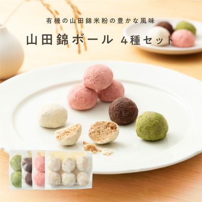山田錦ボール メール便アソート （4種 詰合せセット（4種×各6個］）［グルテンフリー ＆ プラントベース］【メール便全国送料無料 】