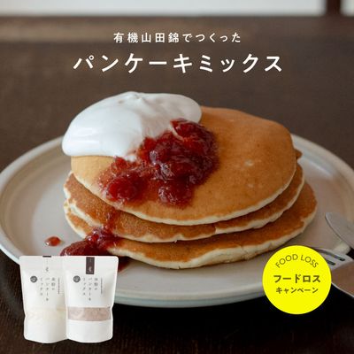 【訳アリ商品 最大20％OFF 賞味期限：6月15日】田田田堂　米粉のパンケーキミックス