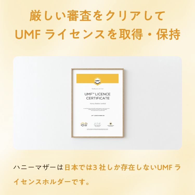 ޥ̥ϥˡ UMF15+ 250g  MGO 512+ʾ