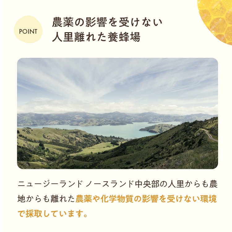 マヌカハニー UMF15+【500g MGO 512+】【はちみつ】
