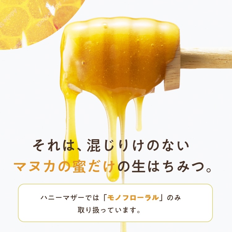 【定期便専用】 マヌカハニー UMF20+【500g MGO 826+】