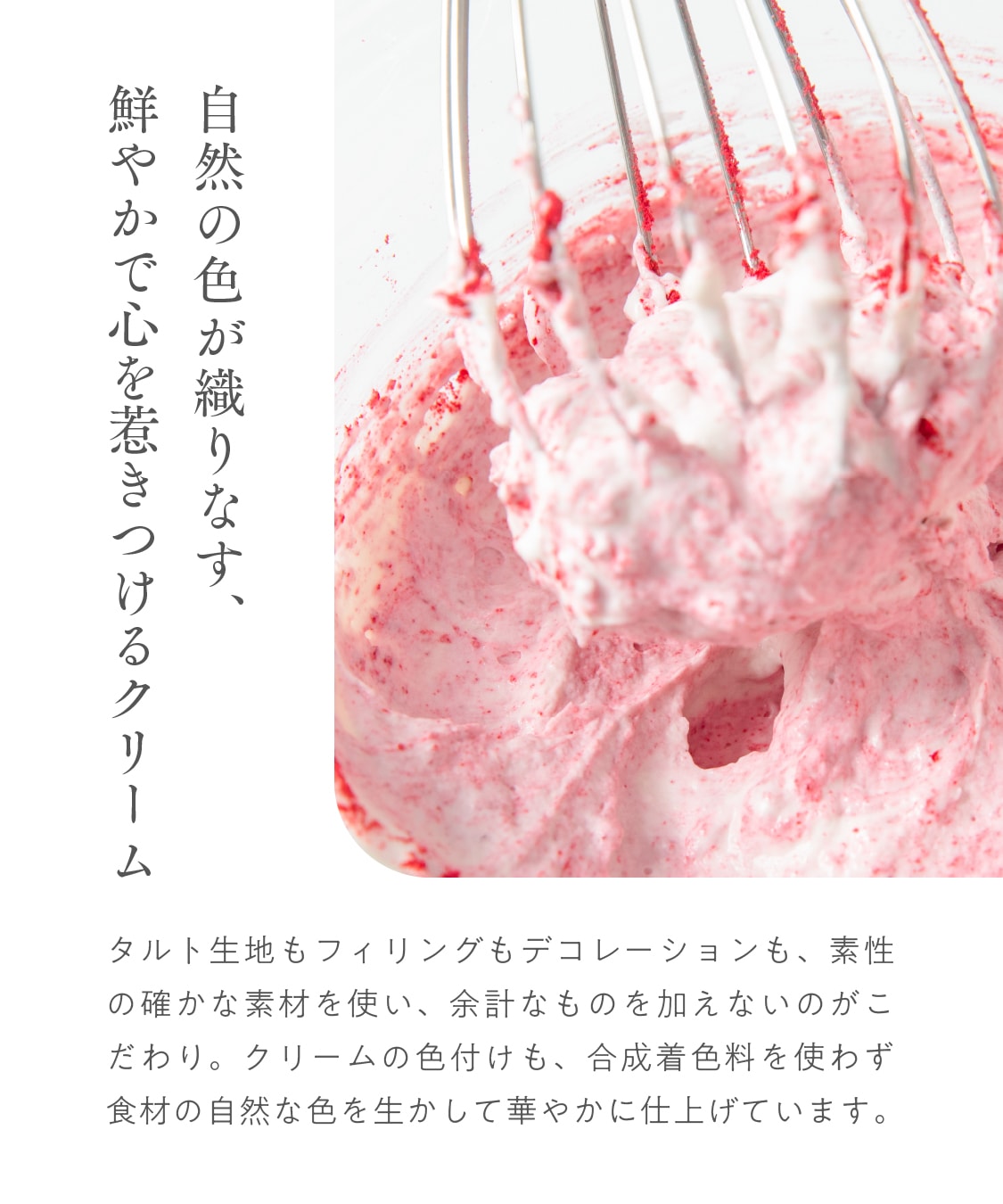 お米のタルト 4種 アソート（各7.5cm）木苺・ピスタチオ・モンブラン・ショコラ［グルテンフリー ＆ プラントベース］