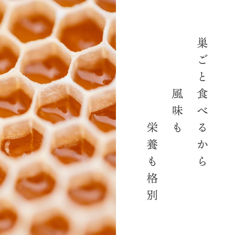 【定期商品】コムハニー （巣蜜） 340g