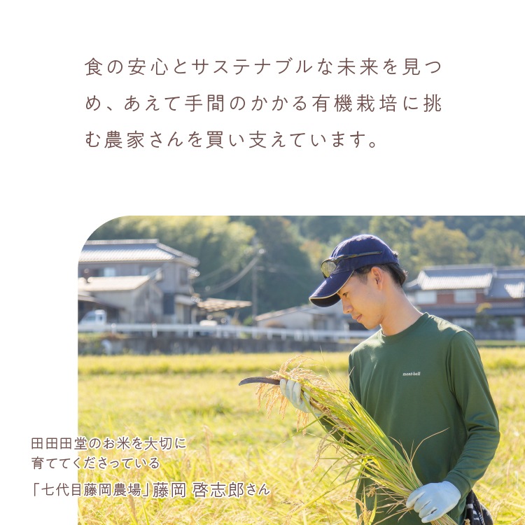 山田錦ボール 【4種 詰合せセット（4種×各6個）】【グルテンフリー & ヴィーガン】【メール便全国送料無料 】