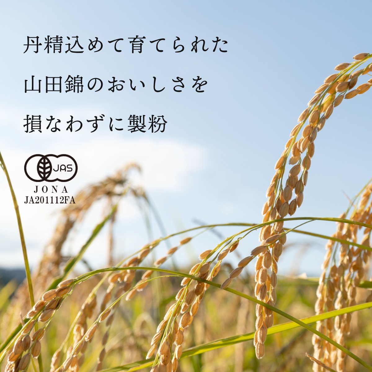 田田田堂　米粉のパンケーキミックス