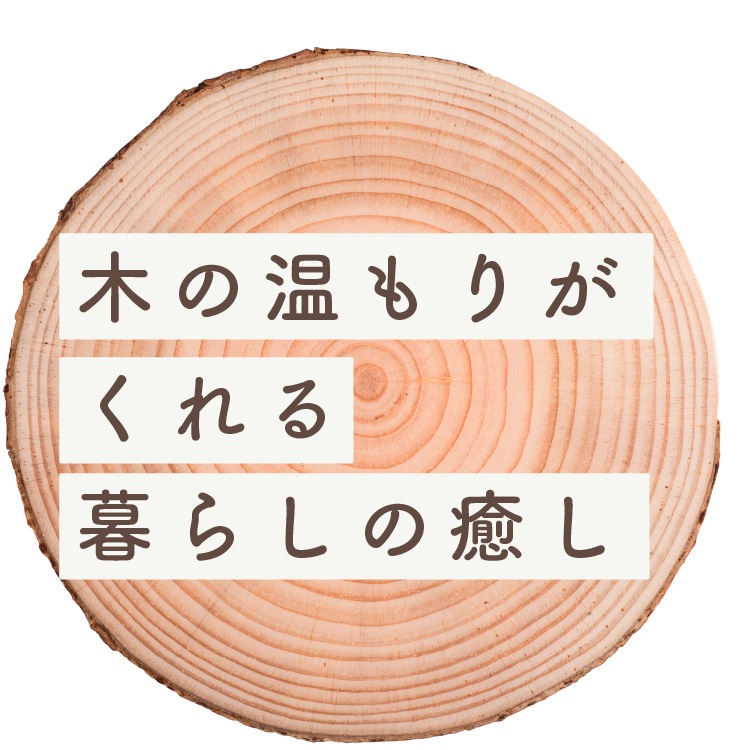 ユーカリスプーン　木製カトラリー｜メール便送料無料