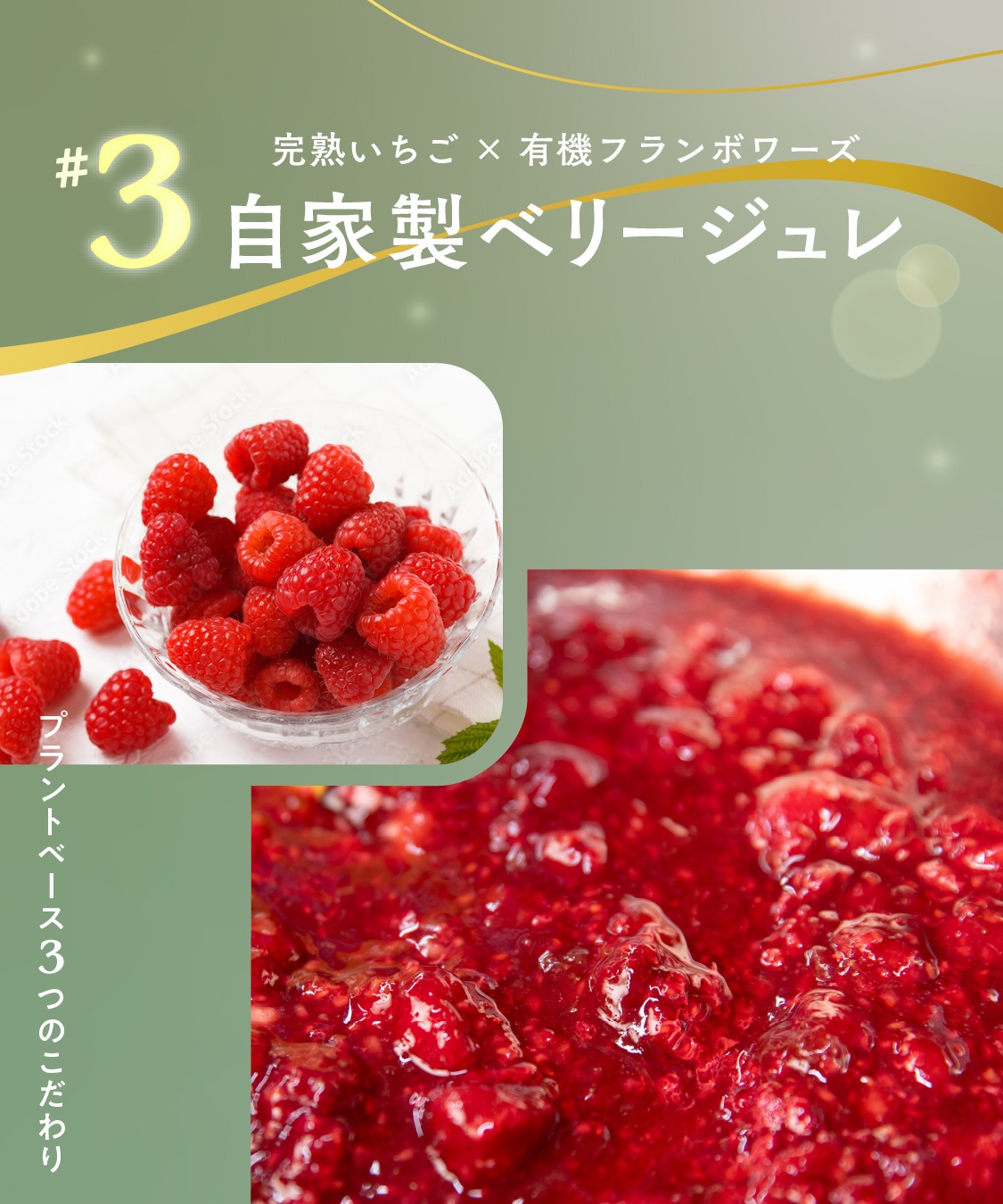 【季節限定 12月1日～配送可】お米のブッシュドノエル（15cm）［グルテンフリー＆プラントベース］　クリスマスケーキ