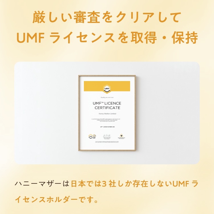 【ひろこぱんさんコラボ特別価格35%OFF】はじめての マヌカハニー UMF10+（250g MGO 261+）　※3本以上購入で「ひろこぱんさん考案マヌカハニーレシピ」プレゼント！