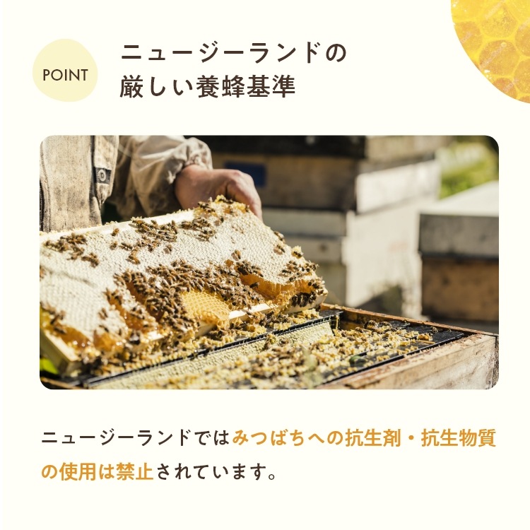 【ひろこぱんさんコラボ特別価格35%OFF】はじめての マヌカハニー UMF10+（250g MGO 261+）　※3本以上購入で「ひろこぱんさん考案マヌカハニーレシピ」プレゼント！