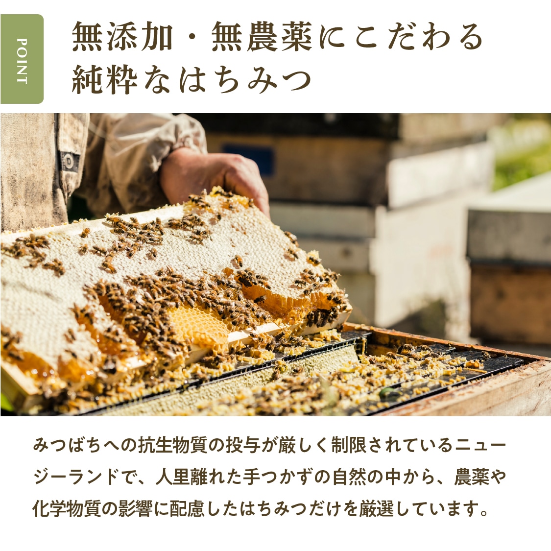 フォレストハニー（500g）｜はちみつ | 全ての商品,ジャンルから探す