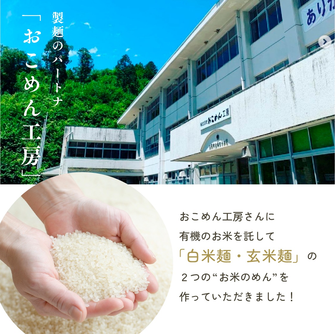 【定期商品】お米のめん4食セット「白米麺／玄米麺」 （100g×4食）｜メール便送料無料