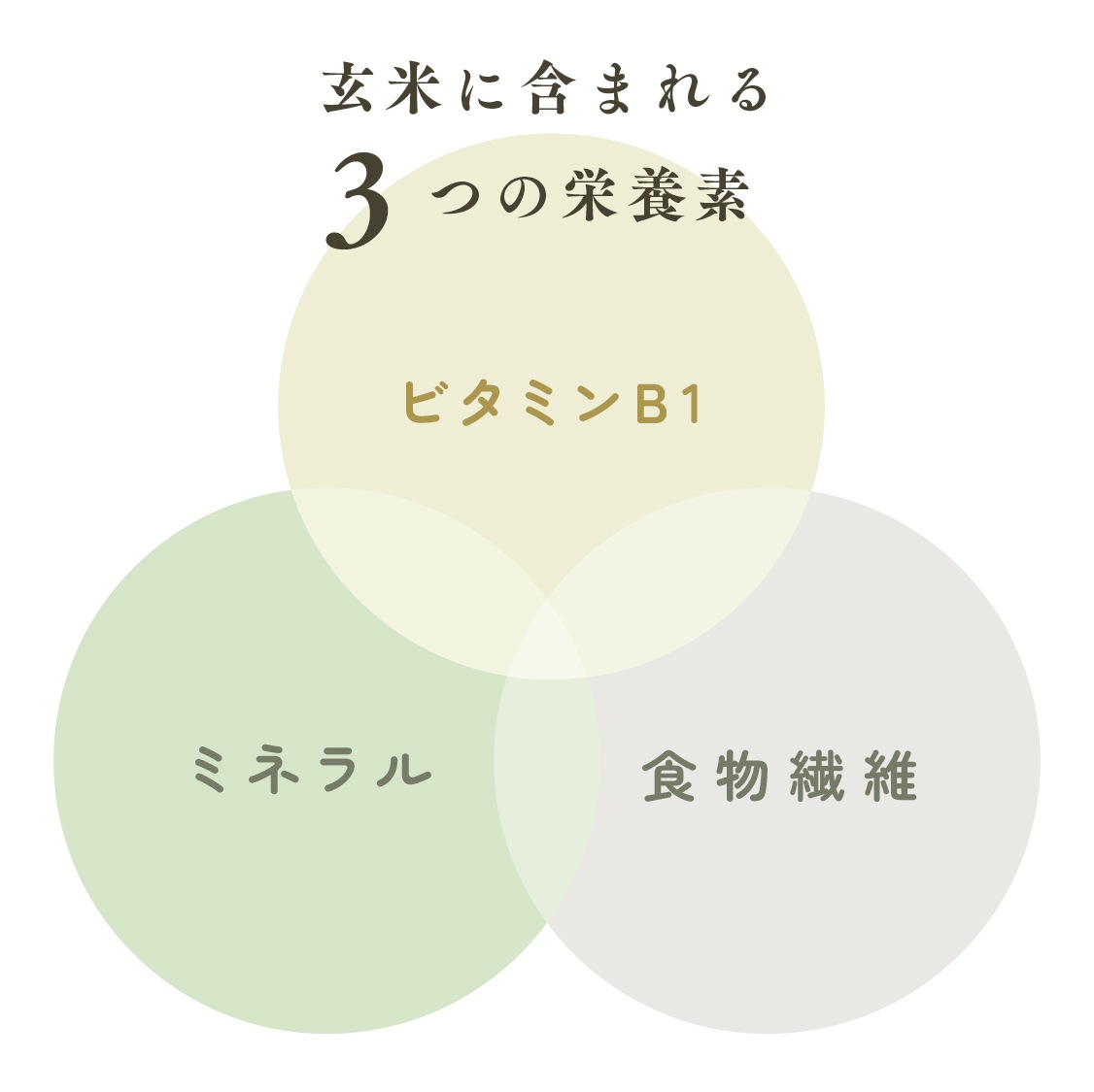 【定期商品】お米のめん4食セット「白米麺／玄米麺」 （100g×4食）｜メール便送料無料