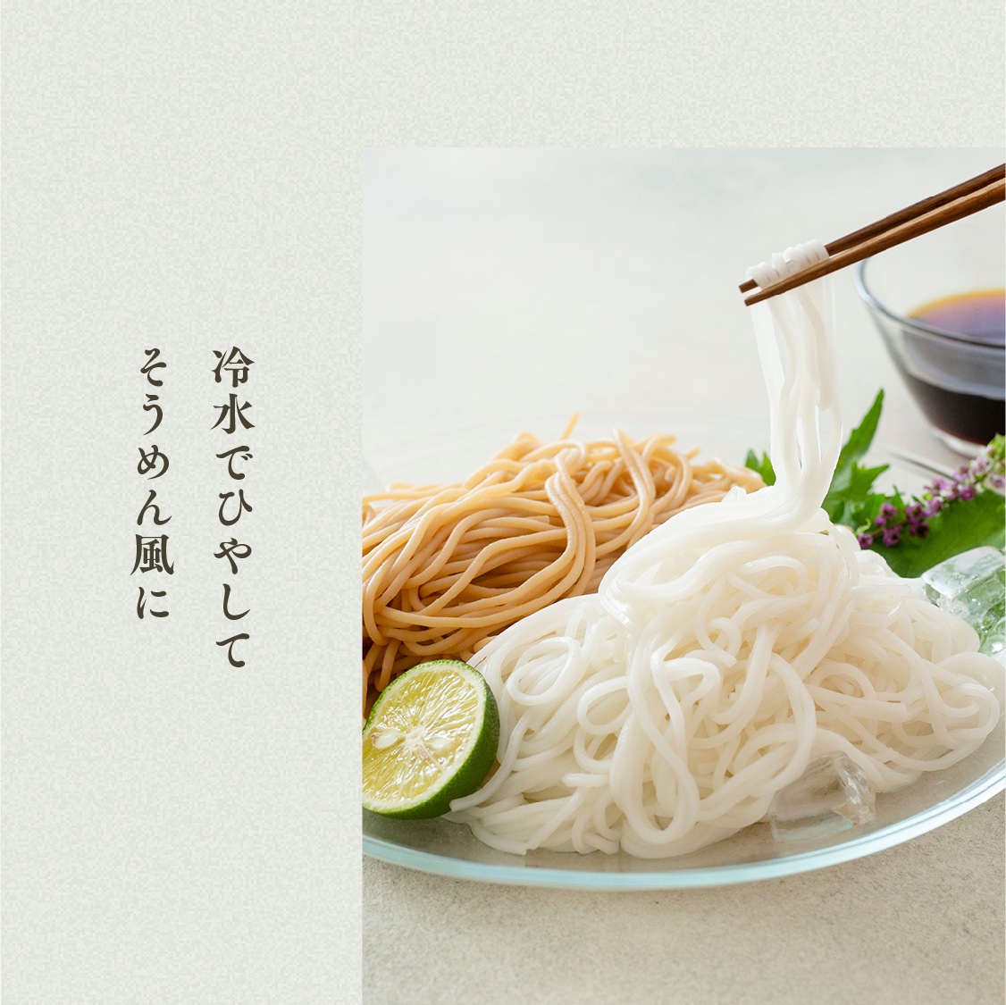 【定期商品】お米のめん4食セット「白米麺／玄米麺」 （100g×4食）｜メール便送料無料