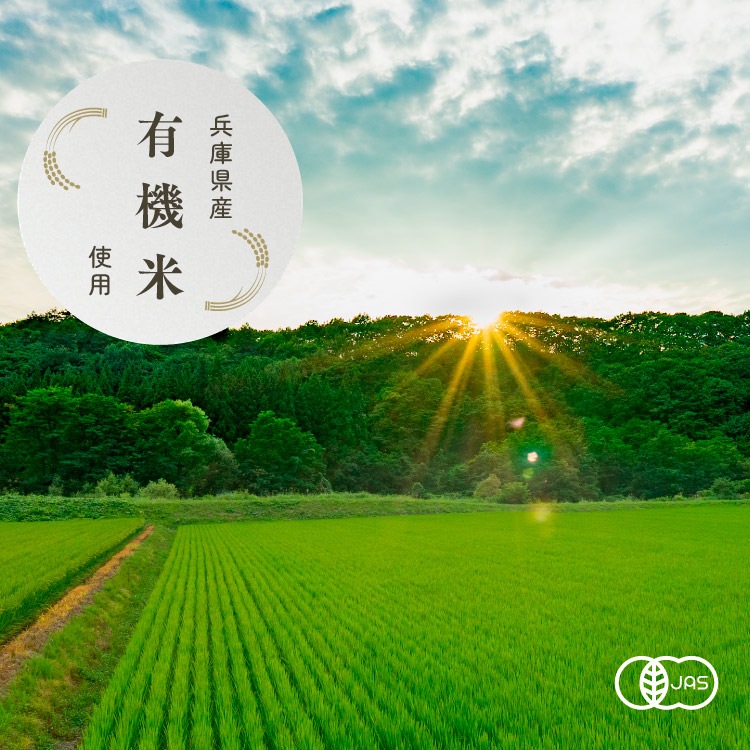 【定期便専用】お米のめん4食セット「白米麺／玄米麺」 【100g×4食】 【メール便送料無料】