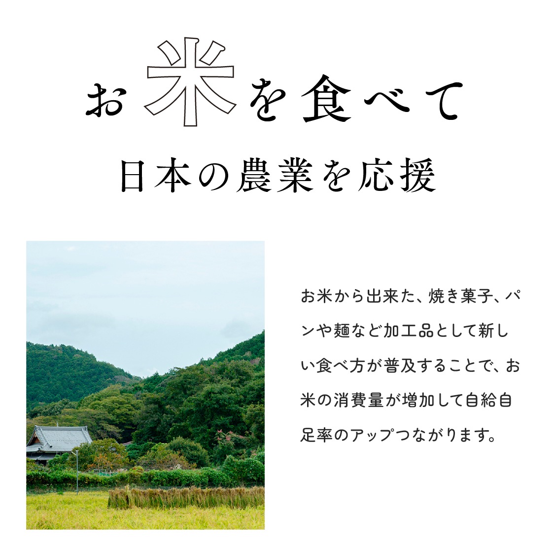 【定期商品】お米のめん4食セット「白米麺／玄米麺」 （100g×4食）｜メール便送料無料