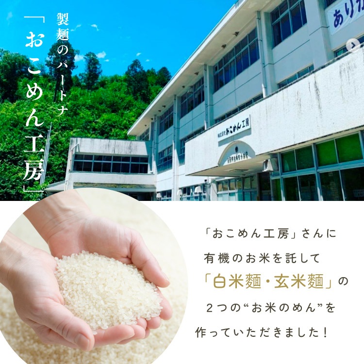 【定期便専用】お米のめん4食セット「白米麺／玄米麺」 【100g×4食】 【メール便送料無料】