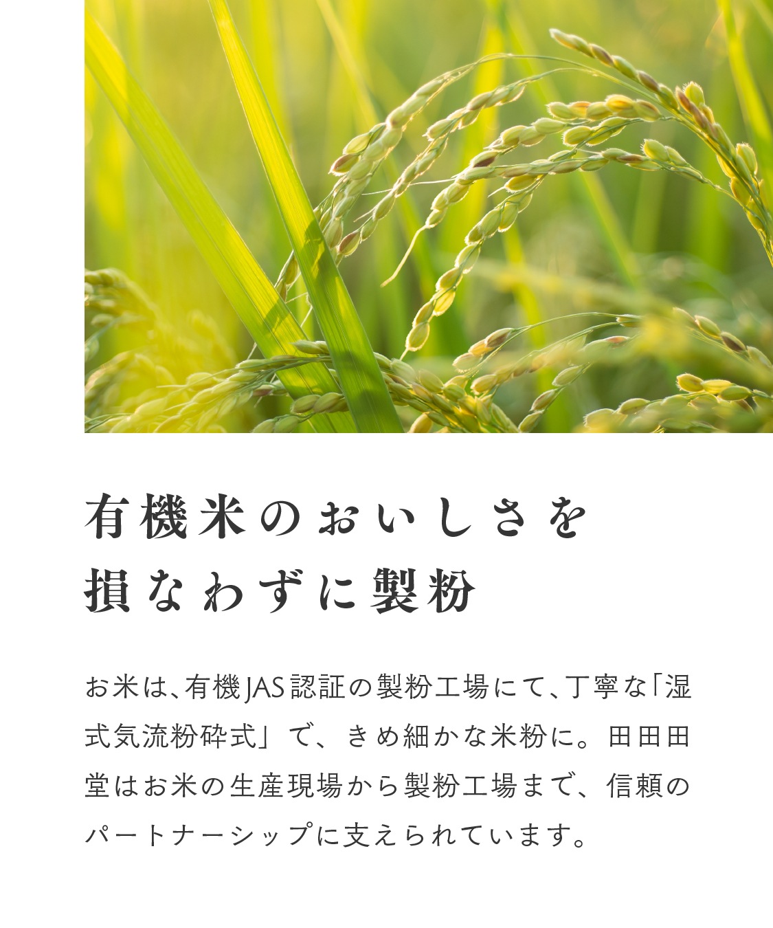 田田田堂　有機米粉「雄町米」（400g/1kg/20kg）