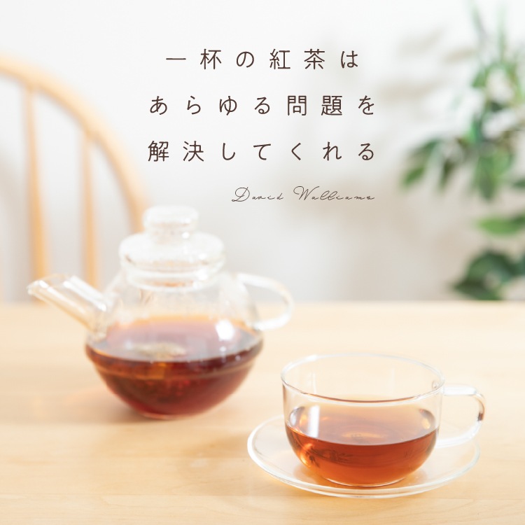 ニュージーランドティー エコパック （50包入） 紅茶 ＆ ハーブティー