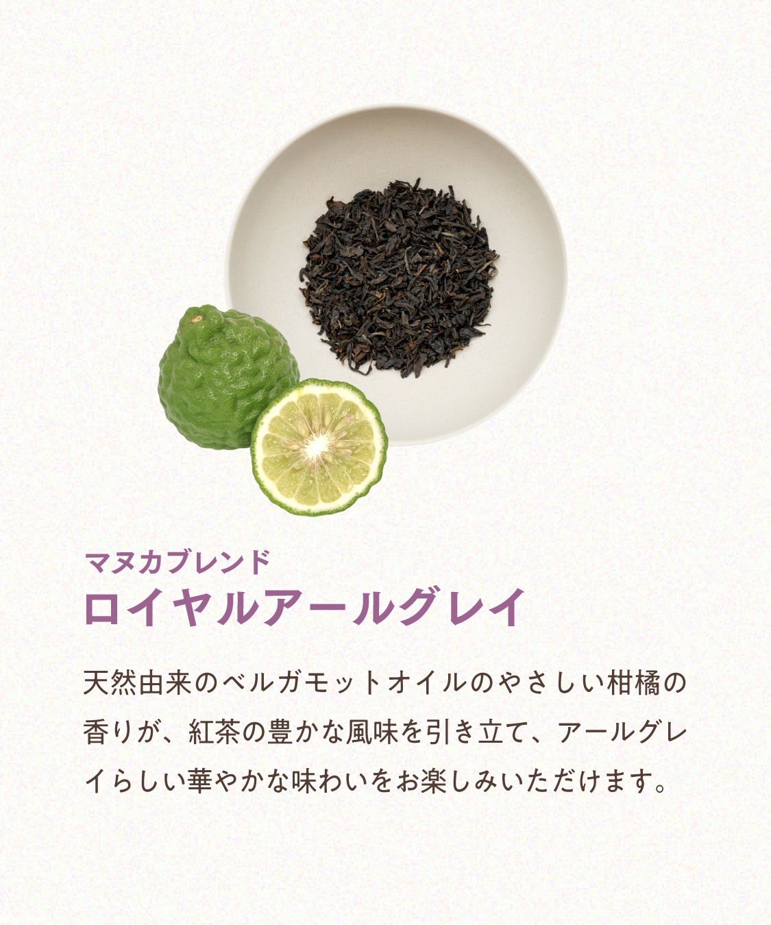 ニュージーランドティー エコパック （50包入） 紅茶 ＆ ハーブティー