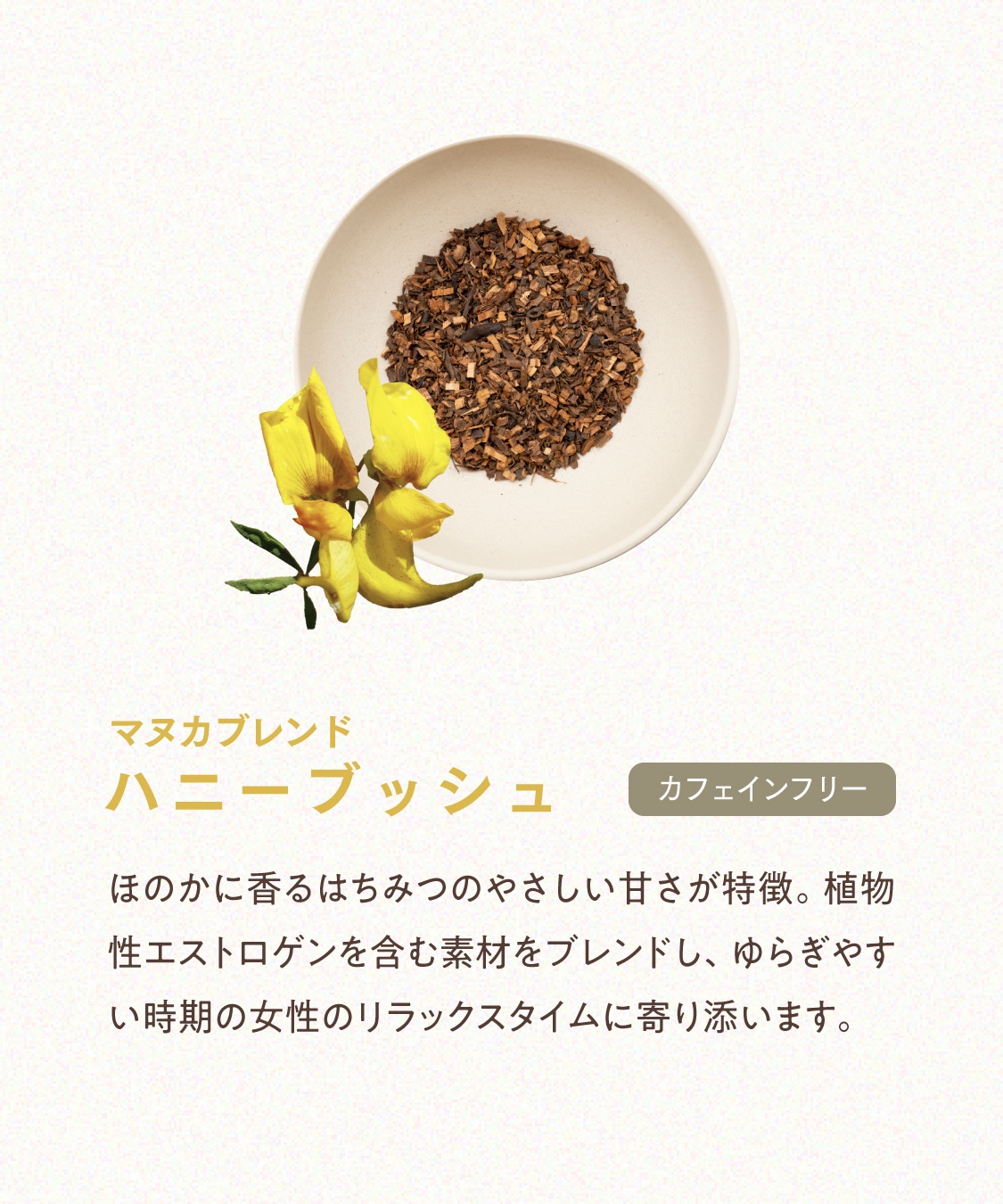 ニュージーランドティー エコパック （50包入） 紅茶 ＆ ハーブティー